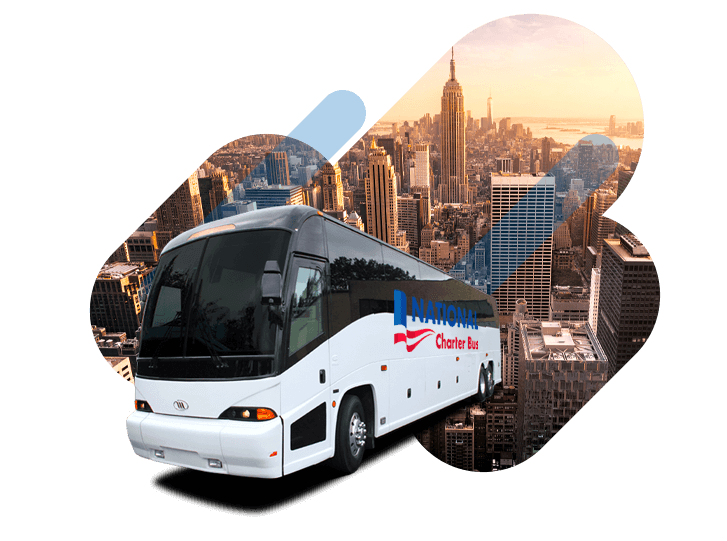 Commercial bus windshield and glass service